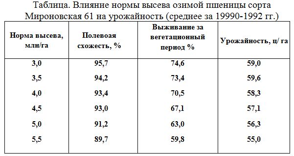 Нормы высева семян озимой пшеницы