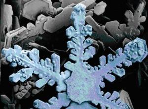 Struktura molekule leda i crtanje vodene pare